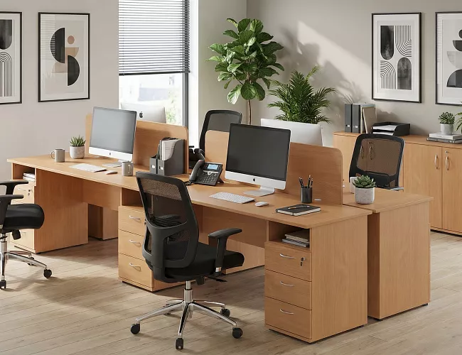 фото мебель Эко