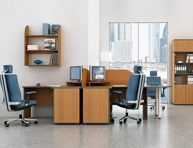 фото мебель Агат Ольха №4