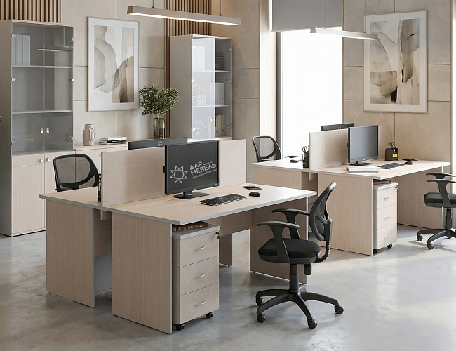 фото мебель Свифт Шамони