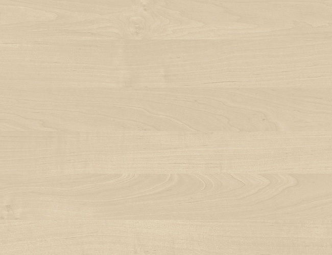 фото мебель Слим Клён №4