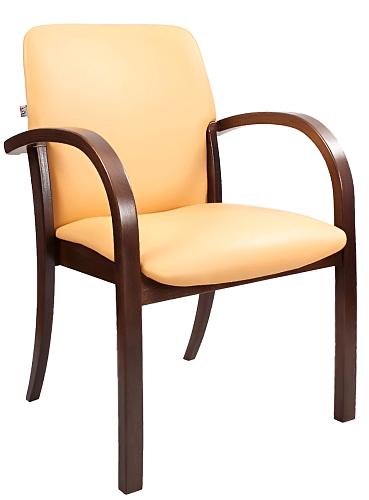 фото стул Джек Арм №5