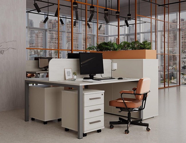 фото мебель Нью лайн Шамони