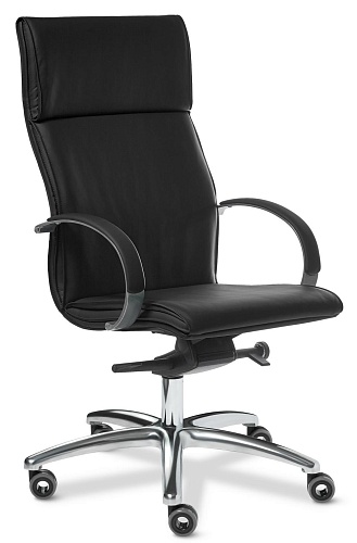 фото кресло Лагуна хром А